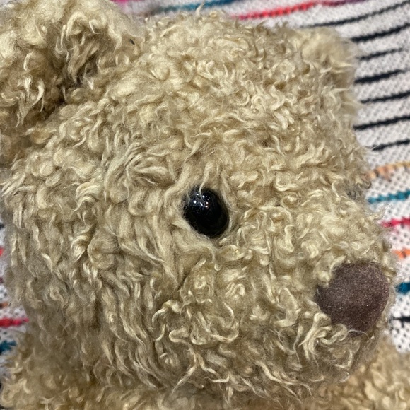 Build A Bear Workshop 25th Celebration Collection Bear - Picture 7 of 9